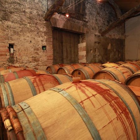 Chateau De Mayragues Castelnau-de-Montmiral Buitenkant foto