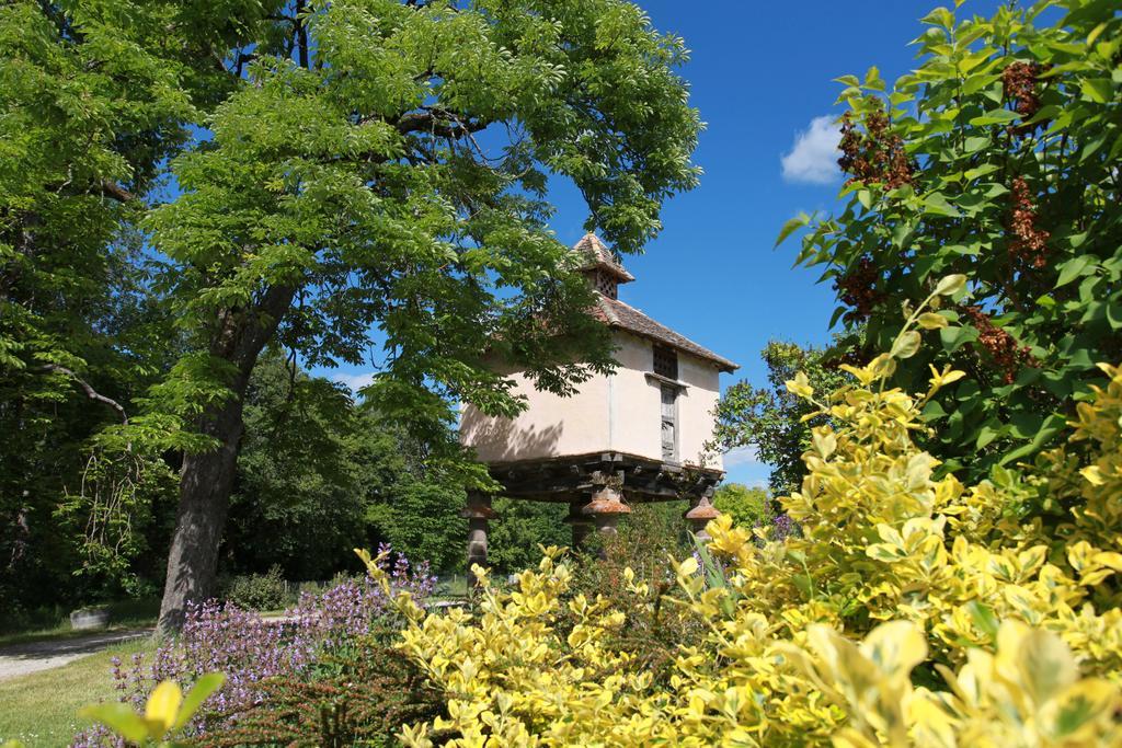 Chateau De Mayragues Castelnau-de-Montmiral Buitenkant foto