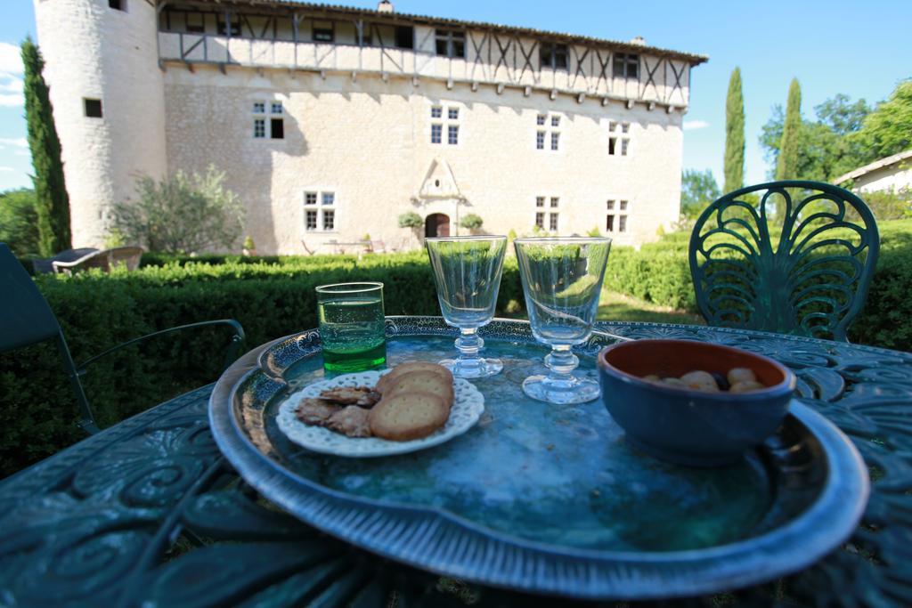 Chateau De Mayragues Castelnau-de-Montmiral Buitenkant foto