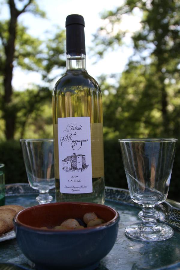 Chateau De Mayragues Castelnau-de-Montmiral Buitenkant foto