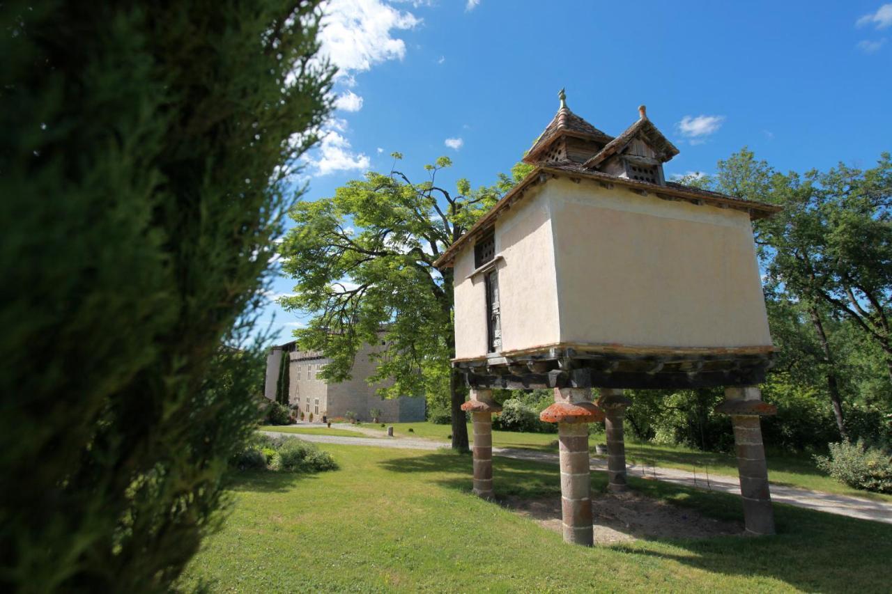 Chateau De Mayragues Castelnau-de-Montmiral Buitenkant foto